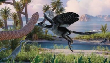 Paleontologists Reconstruct Ecology of Archaeopteryx