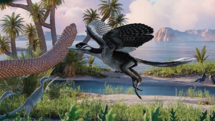 Paleontologists Reconstruct Ecology of Archaeopteryx