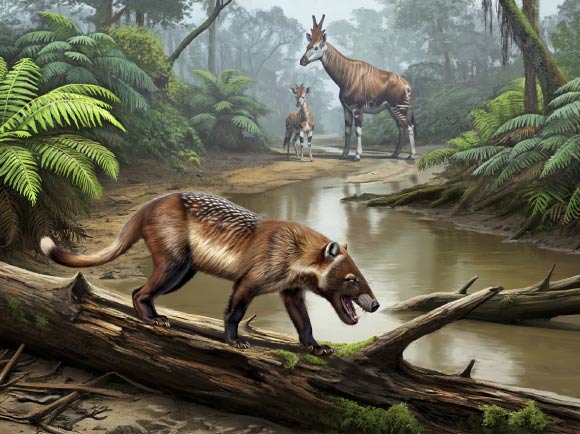 Metapterodon anari. Image credit: Steven Jasinski / SergeyAtrox1.