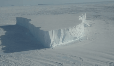 Countries at risk if ‘Doomsday Glacier’ size of Britain collapses into sea