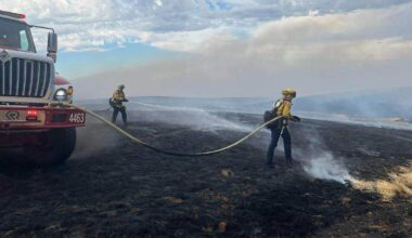 CA considers deferred retirement option for CHP and firefighters