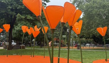 Free yoga in Midtown returns, this year among giant poppies