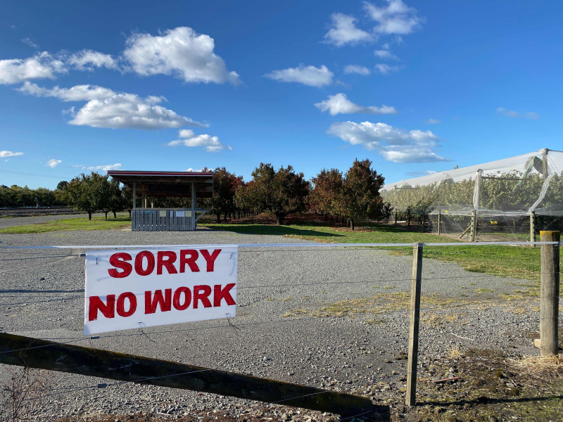 Jobless rate to remain close to 5.4% but economists see darker days ahead - BusinessDesk | NZ