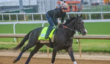 Kentucky Derby Breaking News: Fulleffort Scratched, Ocelli In