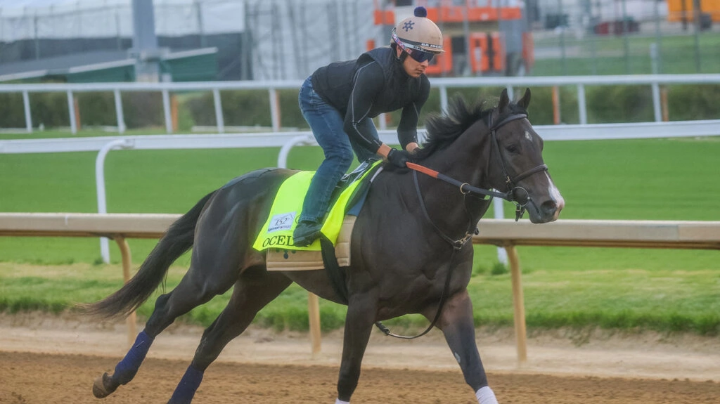 Kentucky Derby Breaking News: Fulleffort Scratched, Ocelli In