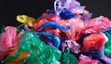 Where Plastic Bags Recycled At Grocery Stores Really Go