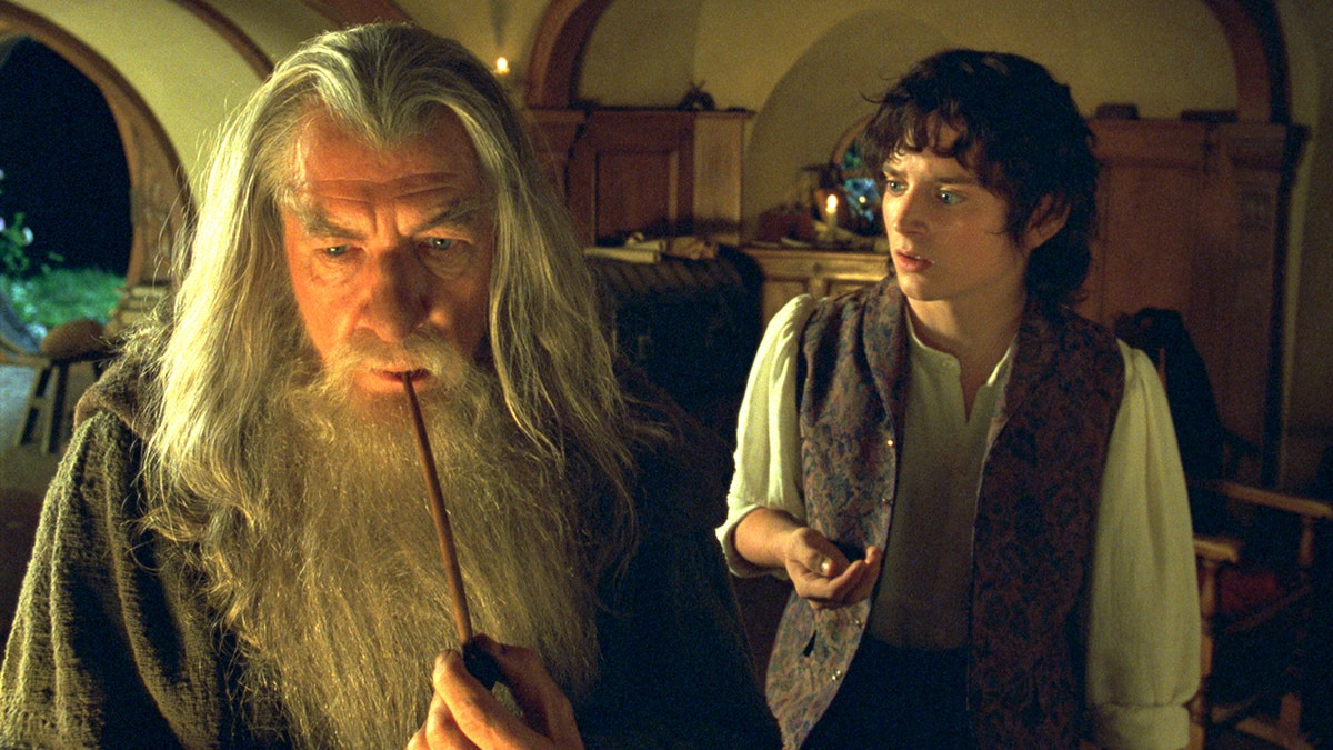 Ian McKellen as Gandalf in a scene from The Lord of the Rings: The Fellowship of the Ring