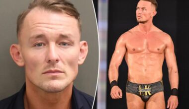 Details revealed about WWE star Ludwig Kaiser's battery arrest
