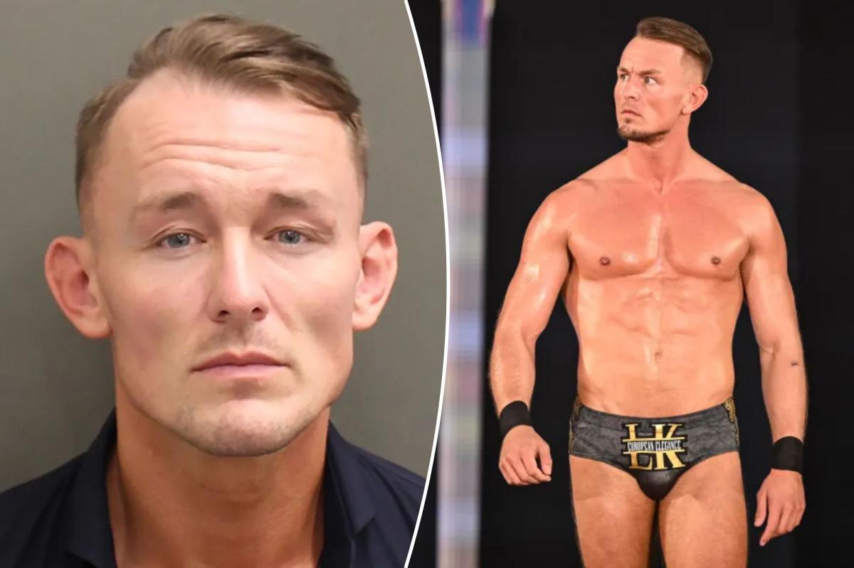 Details revealed about WWE star Ludwig Kaiser's battery arrest