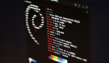 a screenshot of Debian Linux on a black screen with a white terminal font