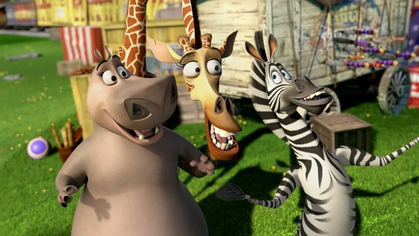 The animals in Madagascar