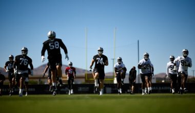 Las Vegas Raiders logo