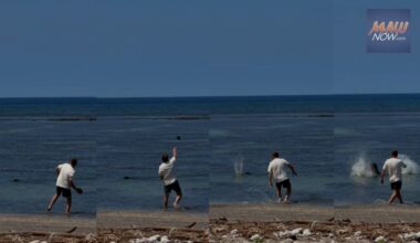 Washington man charged with harassment for allegedly hurling large rock at endangered monk seal ‘Lani’ : Maui Now