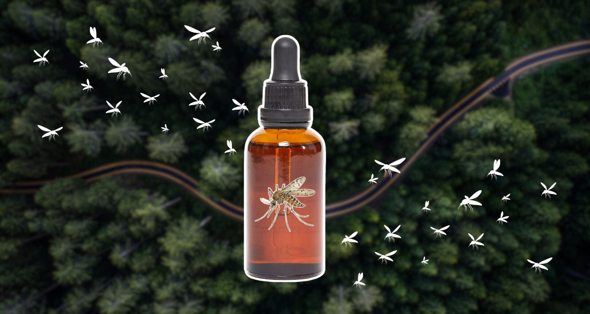 mosquitoes on a forest background with trees