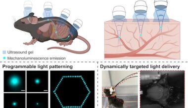 Ultrasound-activated nanoparticles shine a light deep within living tissues – Physics World