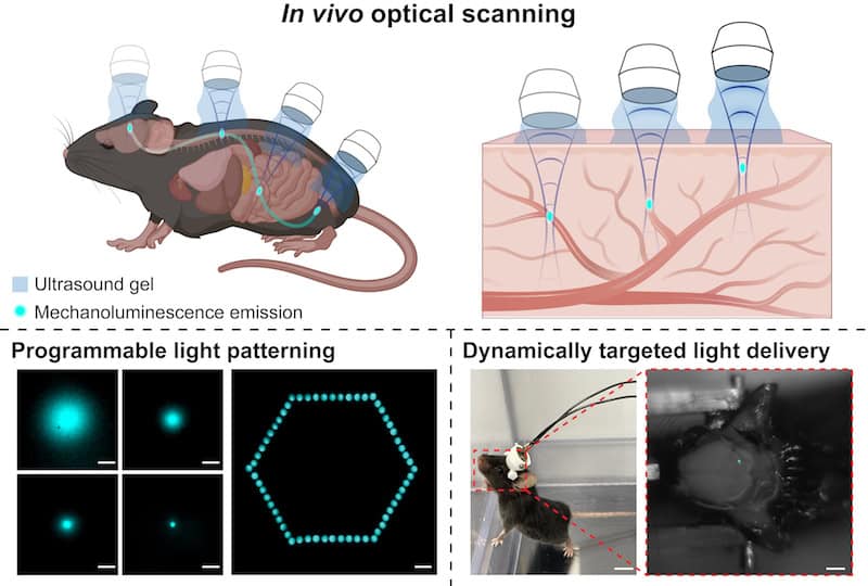 Ultrasound-activated nanoparticles shine a light deep within living tissues – Physics World