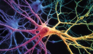 Neuroscience News logo for mobile.