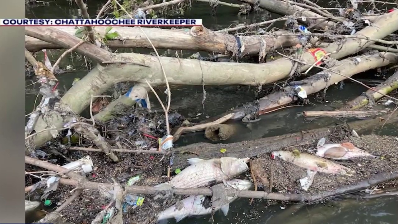 Chattahoochee fish kill explained