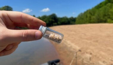 Tiny plastic beads are polluting river near SC national park