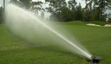 Severe drought prompts ‘Extreme Water Shortage’ restrictions that include Lake County – Orlando Sentinel