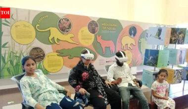 Beyond safari: Tadoba launches immersive VR wildlife experience | Nagpur News