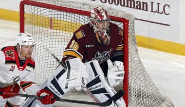 Wolves deliver knockout blow to Griffins | TheAHL.com