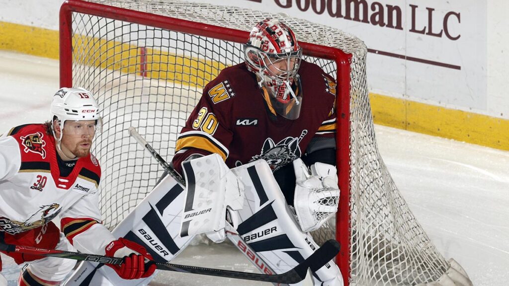 Wolves deliver knockout blow to Griffins | TheAHL.com
