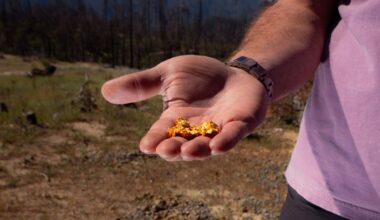 How Americans Caught Gold Fever Again