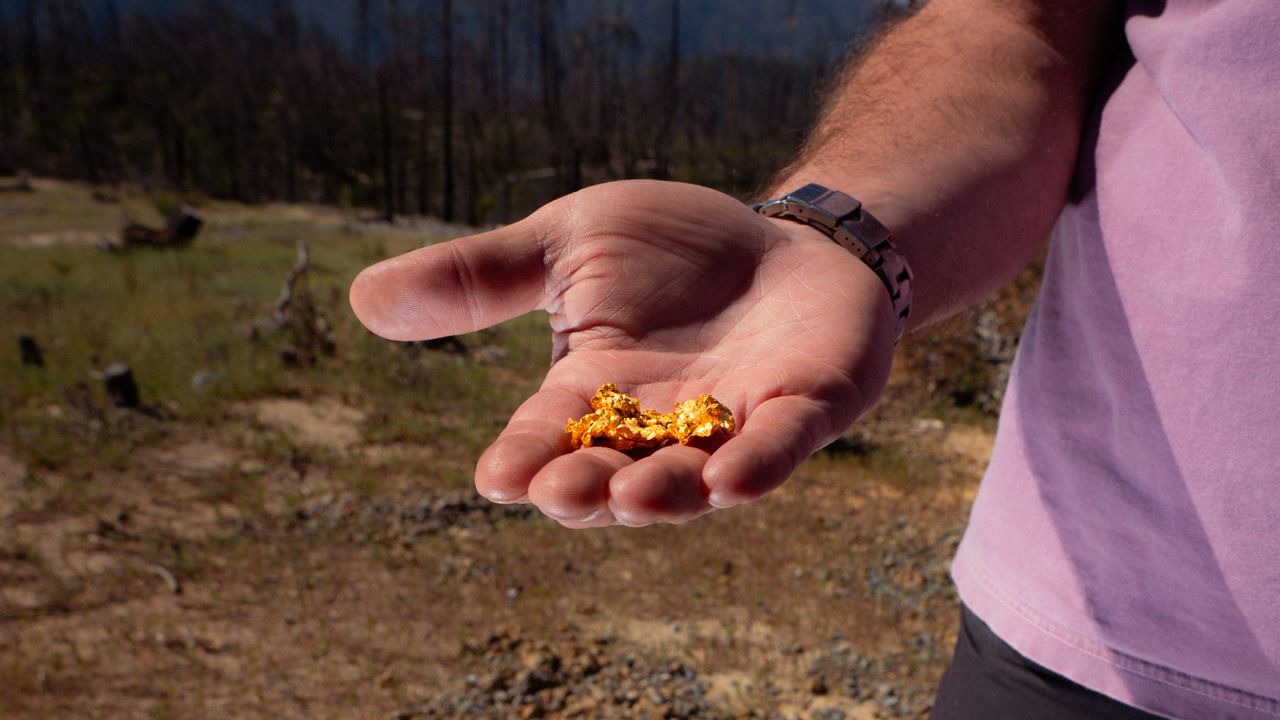 How Americans Caught Gold Fever Again
