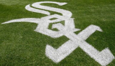 White Sox OFs Austin Hays, Everson Pereira near rehab assignments