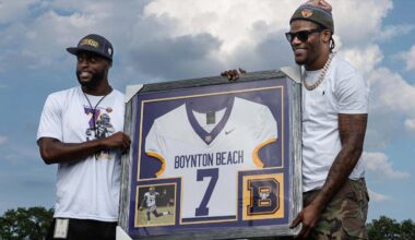 Baltimore Ravens logo