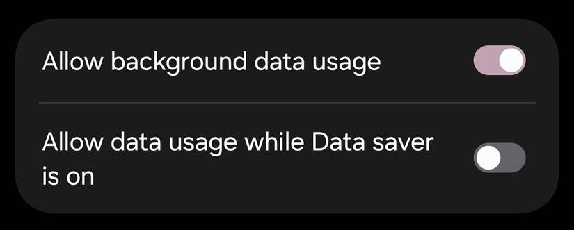 Android mobile data settings showing background data permissions and Data Saver controls for apps.