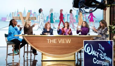 Disney claims 'The View' is 'bona fide news' akin to 'Meet the Press'