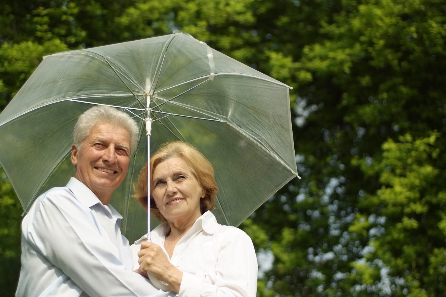 A Monthly Dividend Portfolio That Pays Like a Pension and Beats Most Pensions on Inflation Protection