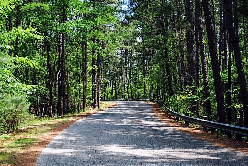 Ouachita National Forest's Mountain Pine Road in Arkansas.