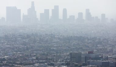 10 Most Polluted Cities In The United States