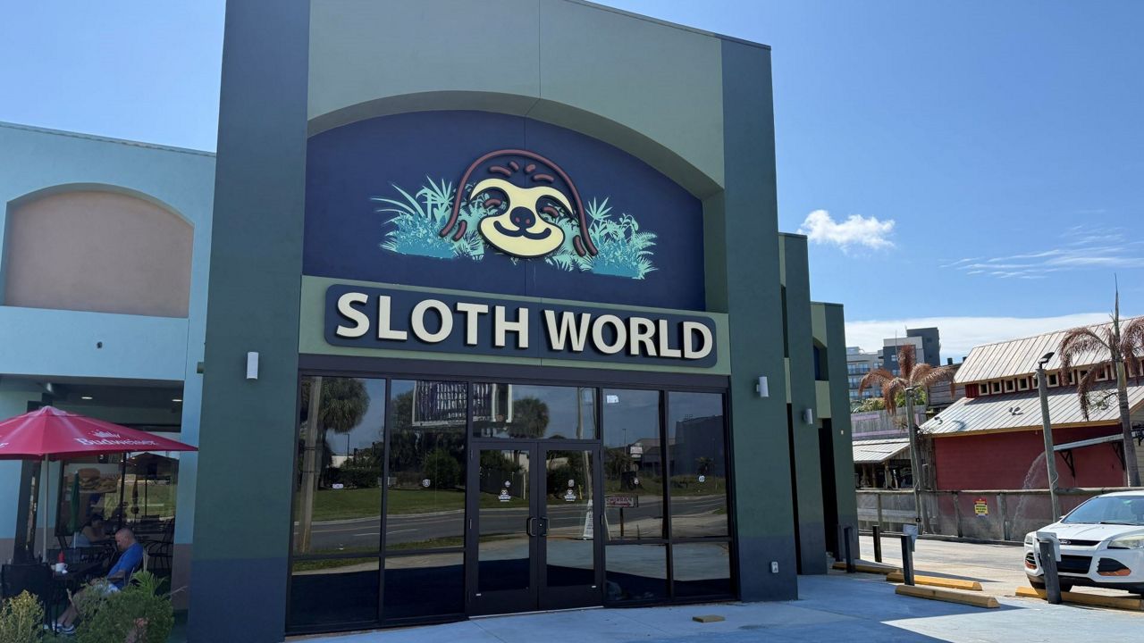 The planned Sloth World attraction on International Drive has said that it will not open. (Spectrum News/Barry Short)