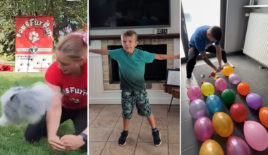split image dog kid balloons