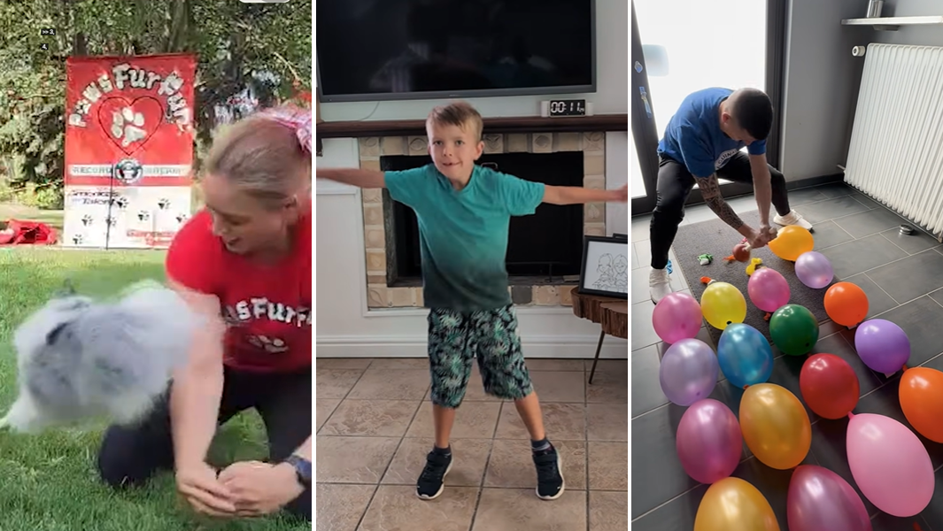 split image dog kid balloons