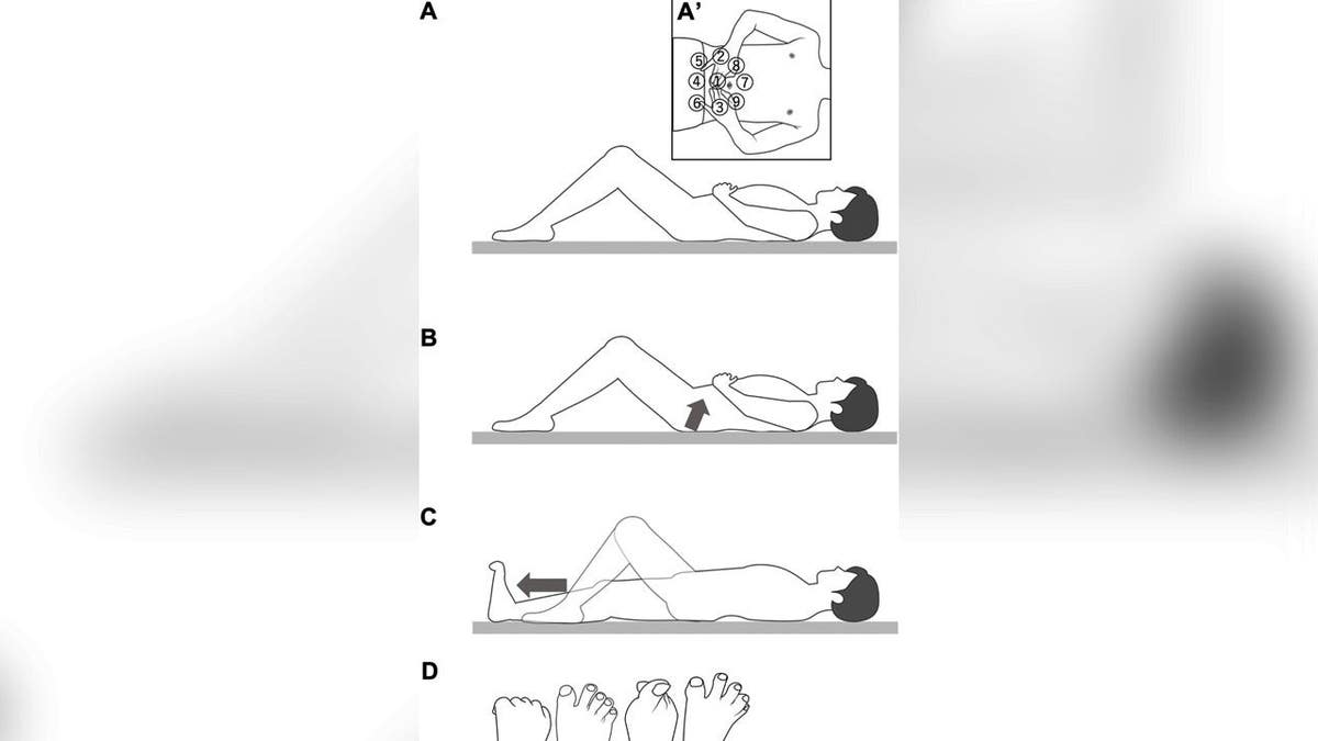 Diagram illustrating the core, leg and toe movements used in the supine exercise routine.