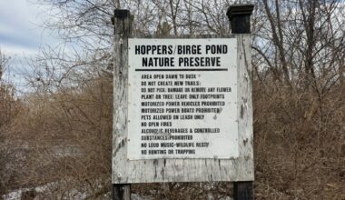 Advocates celebrate after CT city agrees to buy part of nature preserve