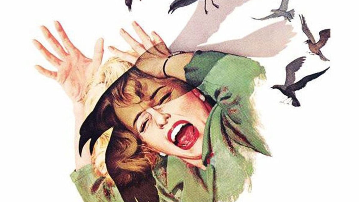 A Remake of 'The Birds' Is Flying to Television
