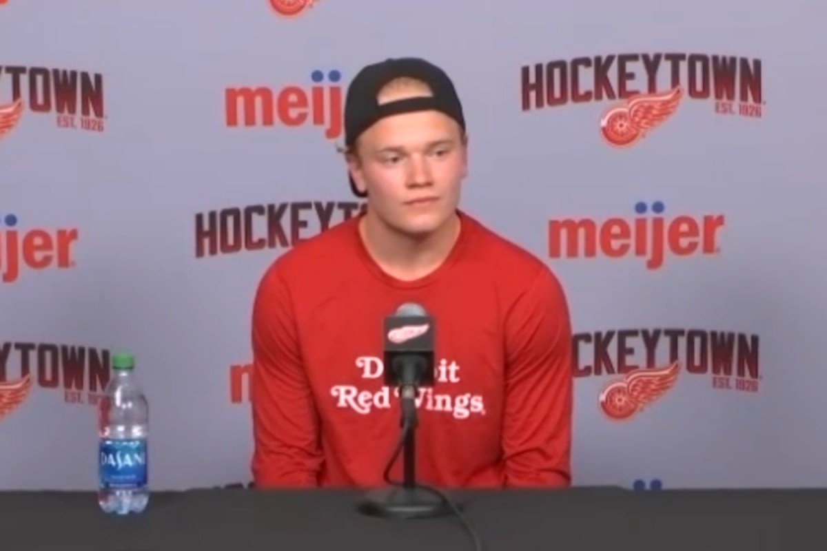 Washington Capitals sign Swedish forward Theodor Niederbach to a one-year, two-way contract