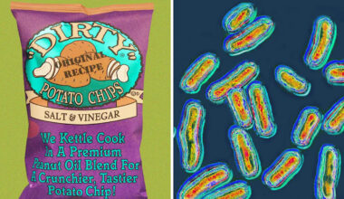 A salmonella outbreak has prompted a recall of potato chips, popcorn and more. Here's what you should toss.