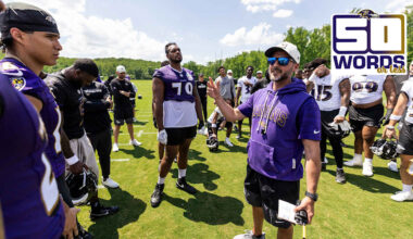 Baltimore Ravens logo