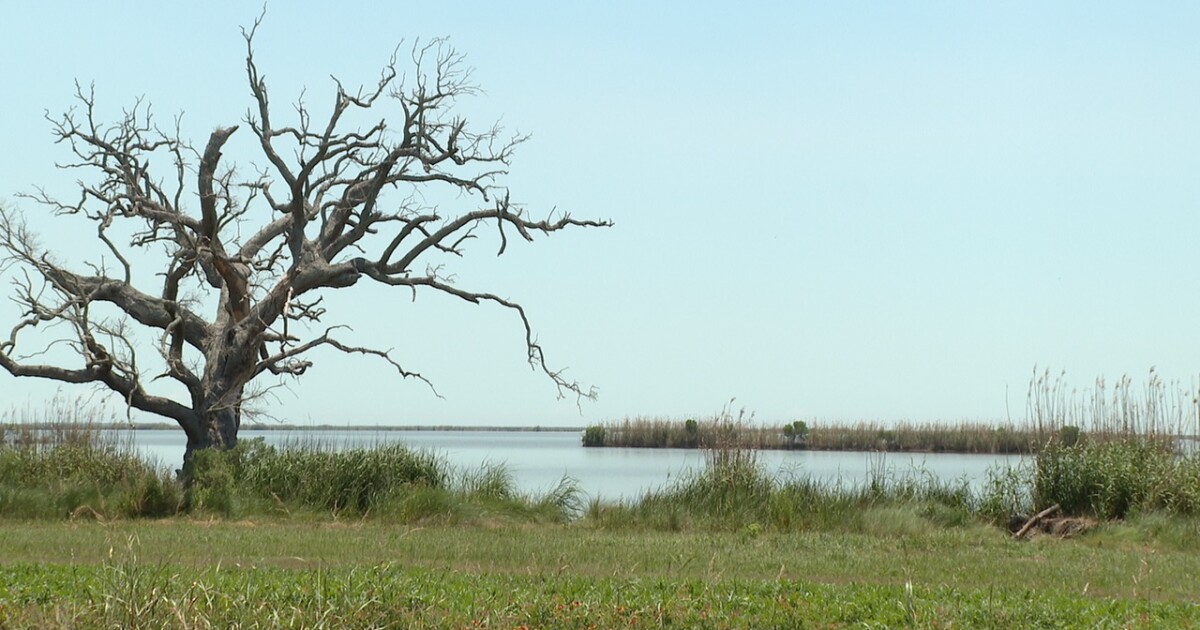 Potential impacts of possible space exploration coming to Pecan Island