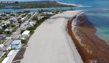 What are the long-term solutions for beach erosion?