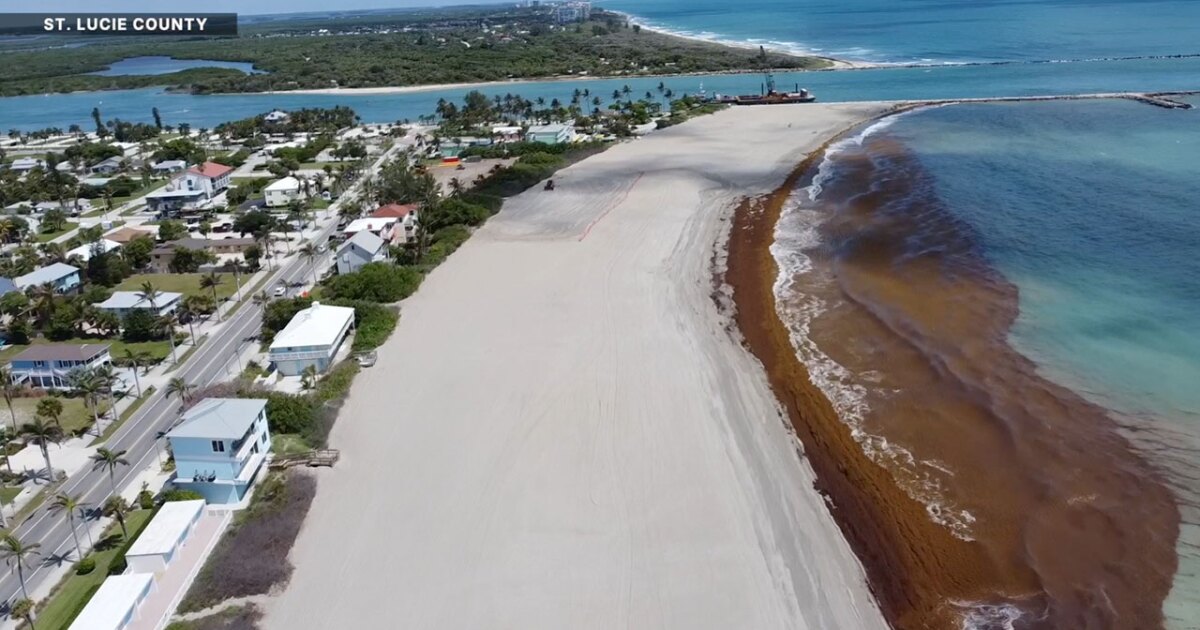 What are the long-term solutions for beach erosion?