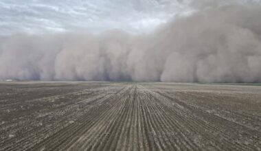 Massive northeast Montana dust storm raises fears of another Dust Bowl era