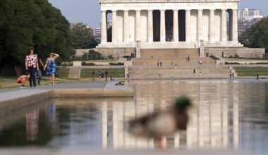 A nonprofit sues the feds over plans to paint the Lincoln Memorial Reflecting Pool blue : NPR